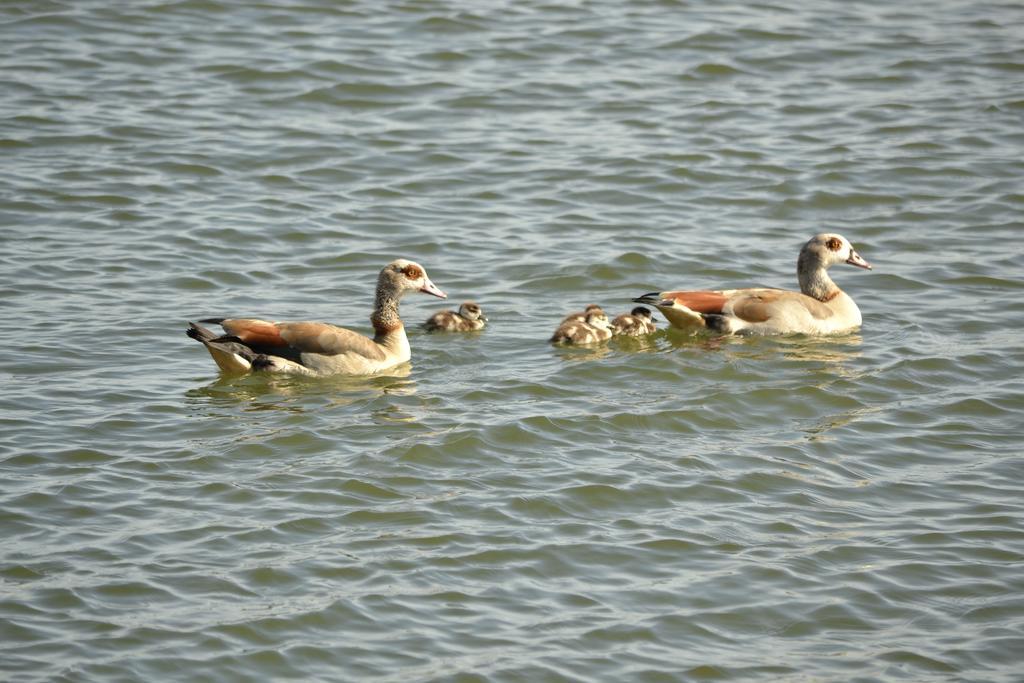 Floating B&B אמסטרדם מראה חיצוני תמונה