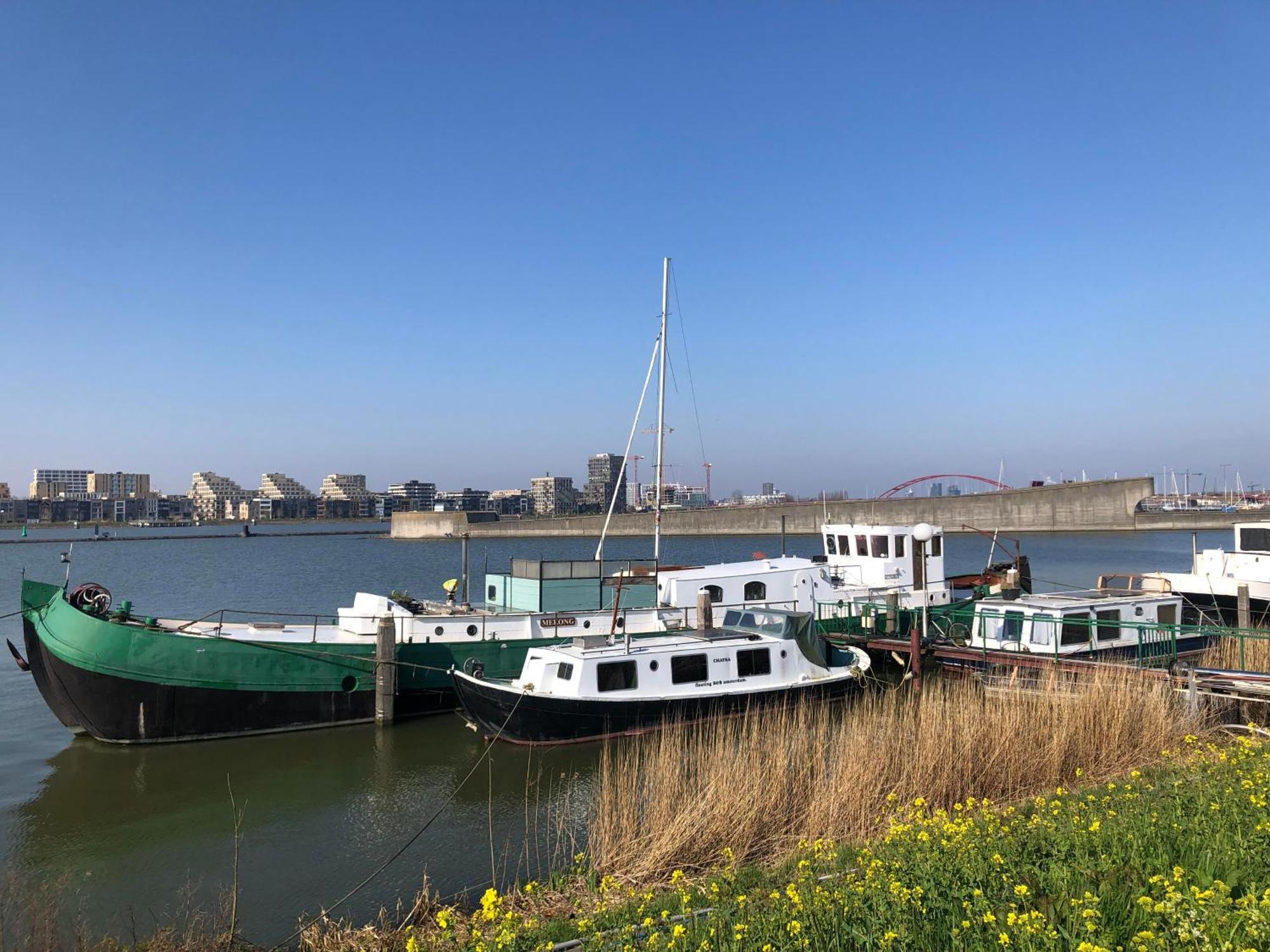 Floating B&B אמסטרדם מראה חיצוני תמונה